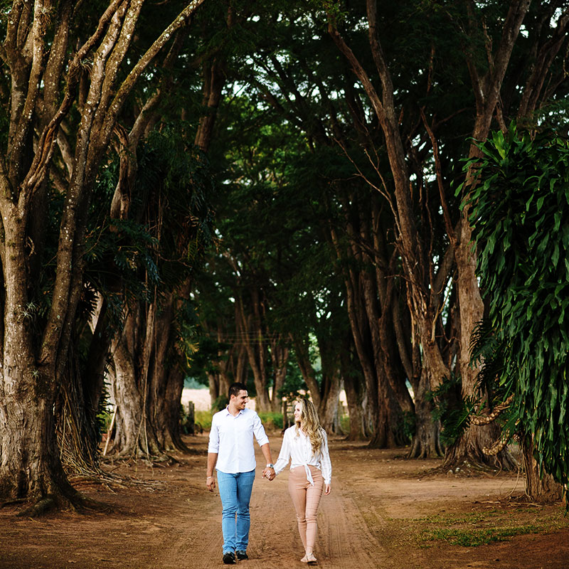 fazenda esmeralda alameda do amor